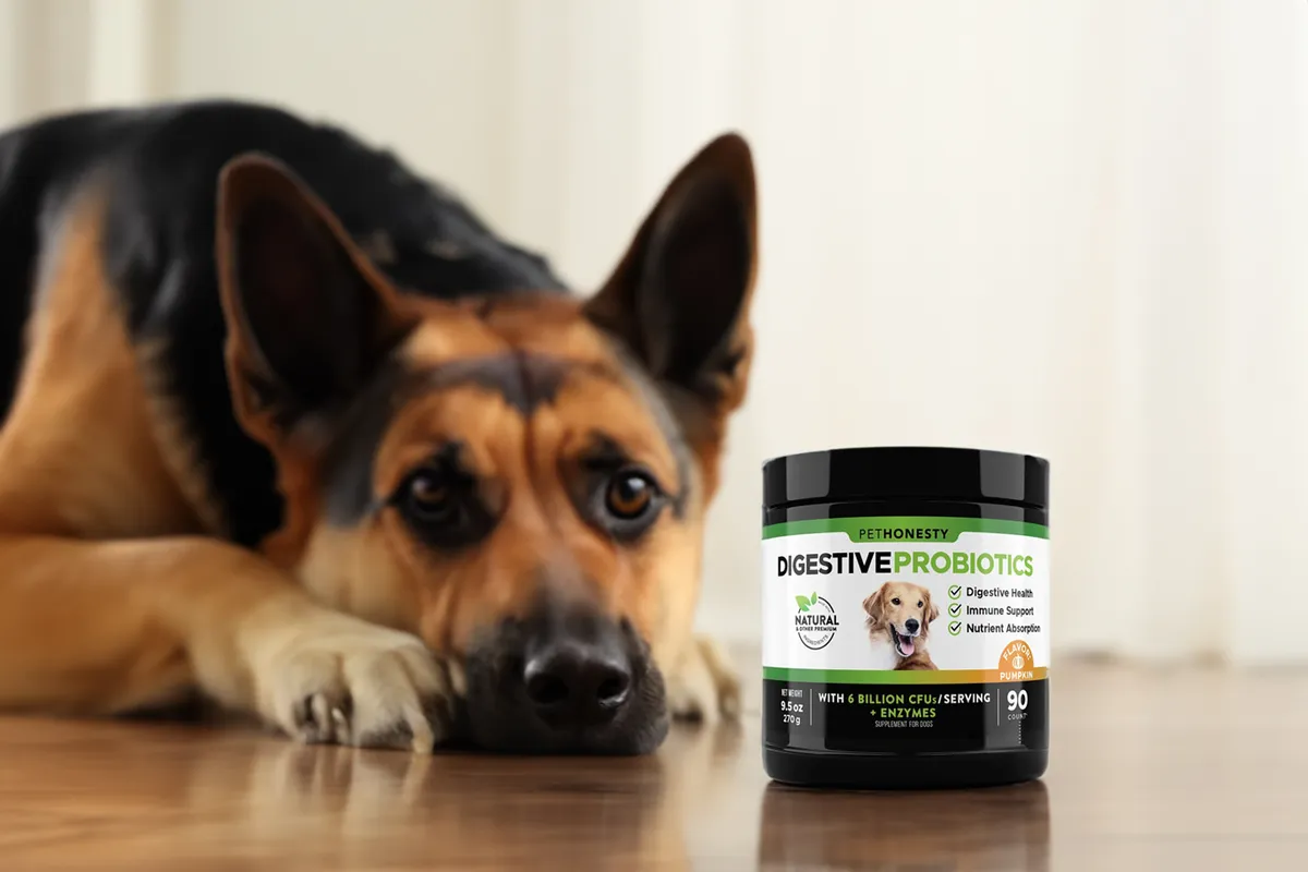 Pet Honesty Digestive Probiotics Review