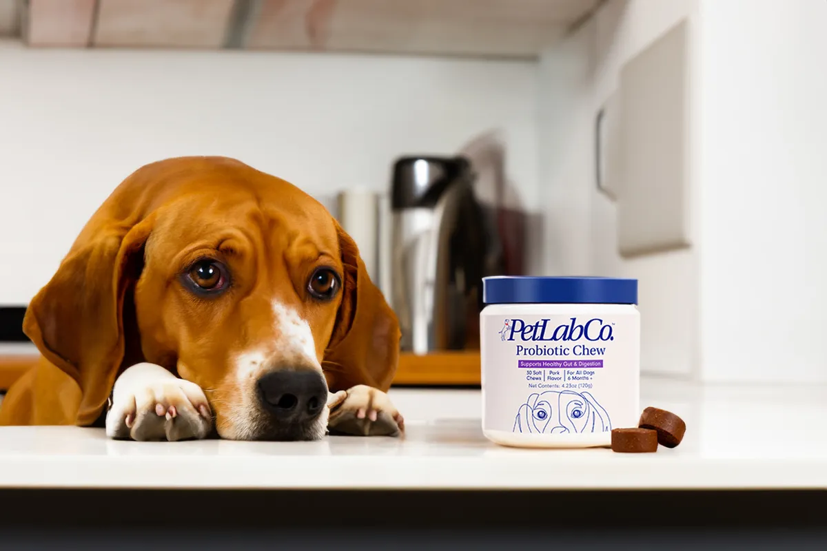 PetLab Co. Probiotics for Dogs Review