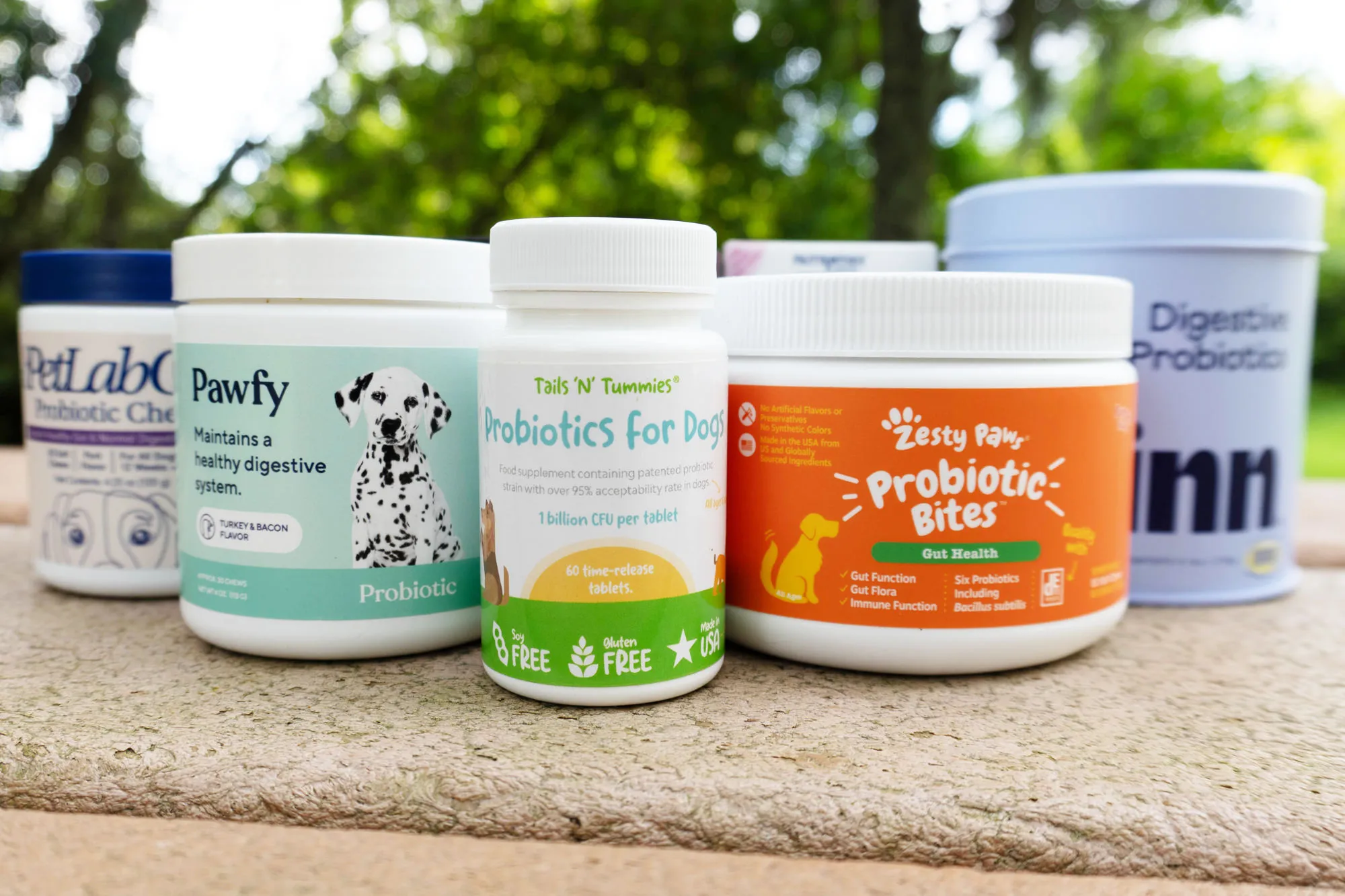 Probiotics for dogs