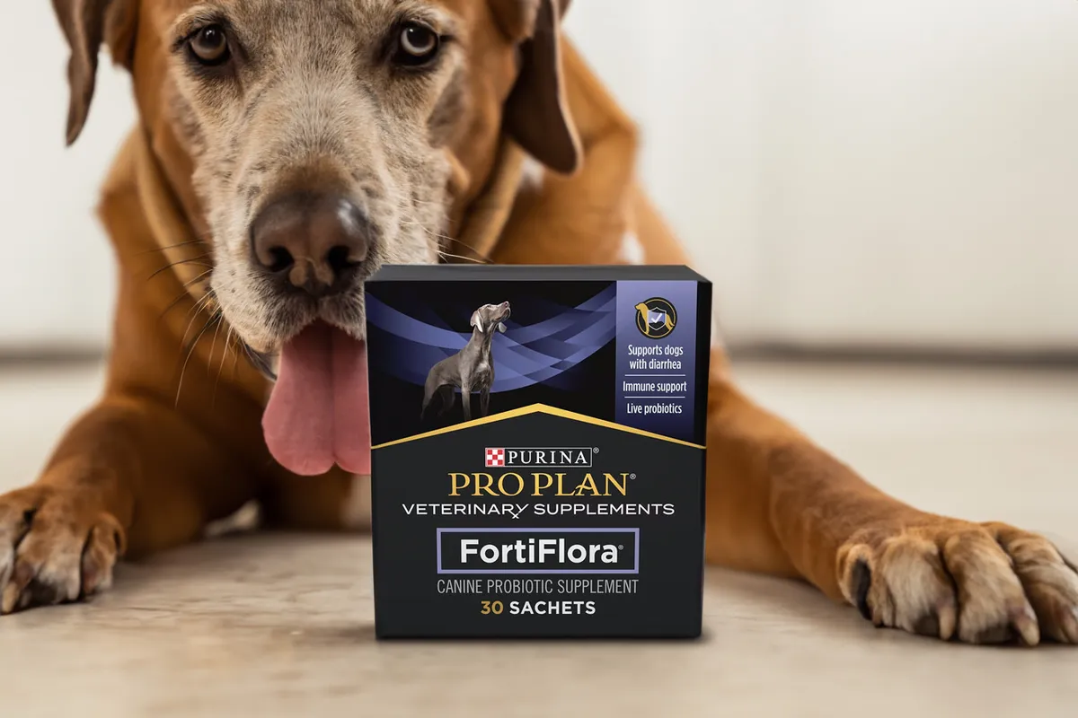 Purina Fortiflora Probiotics for Dogs Review