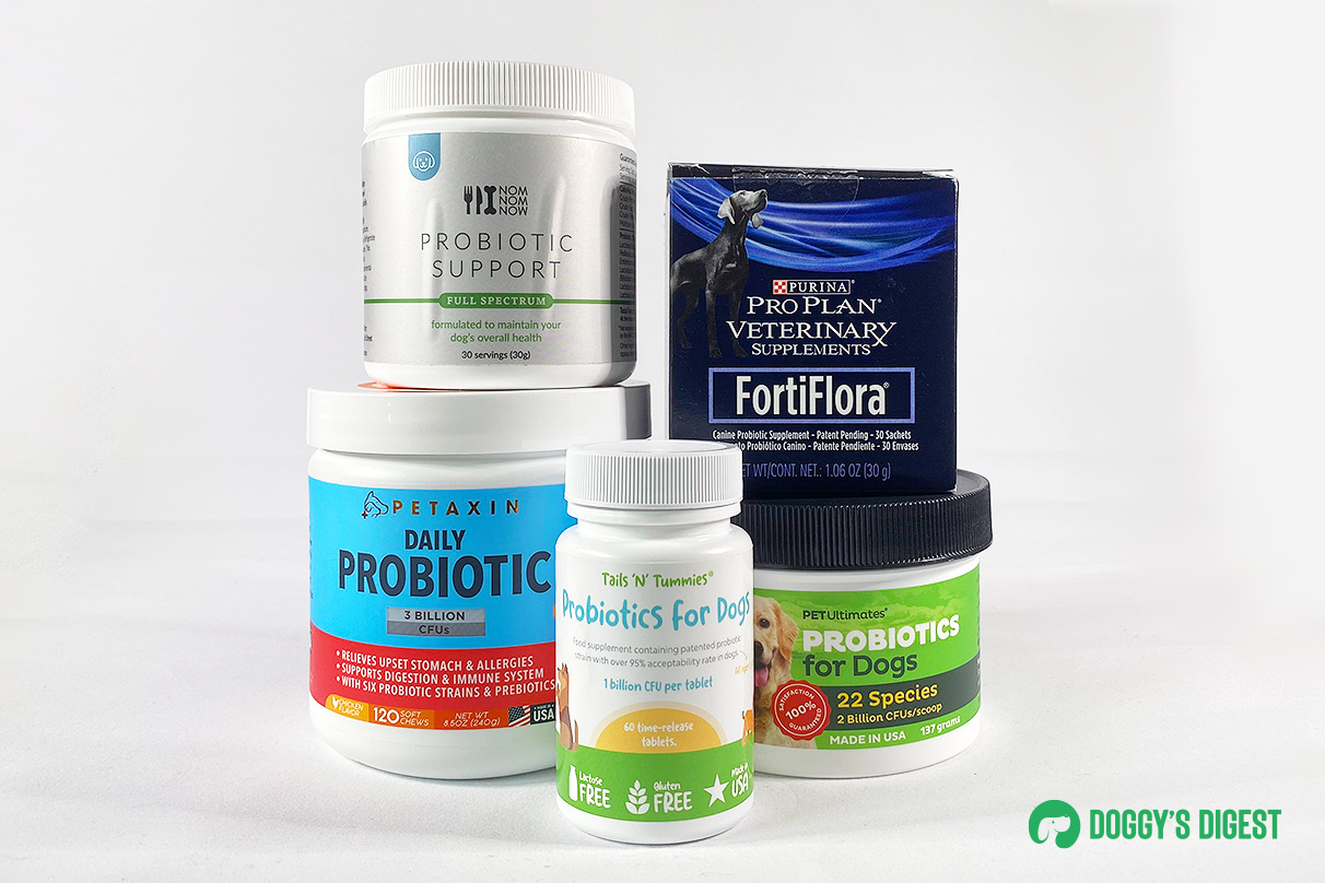 The best probiotics for dogs this year